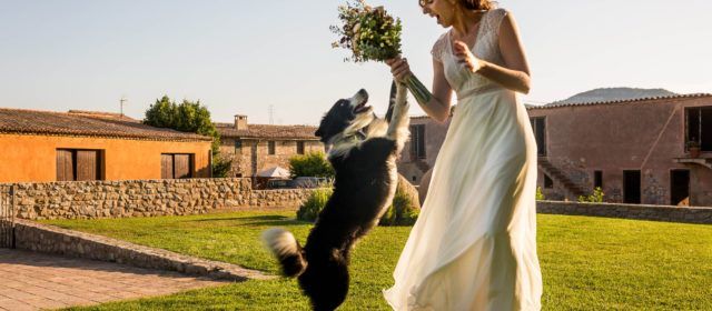 David Gil y Marc Prades: en lo alto del principal directorio de fotografía documental de bodas