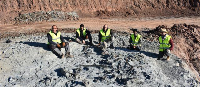Arcillas Vega del Moll, de Morella: una gran mina para la cerámica y la paleontología