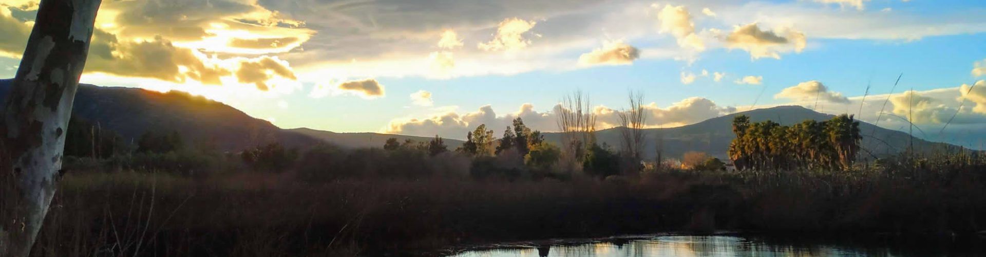 Fotos: Ullals de Baltasar al Delta de l’Ebre
