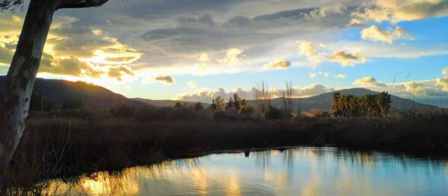 Fotos: Ullals de Baltasar al Delta de l’Ebre