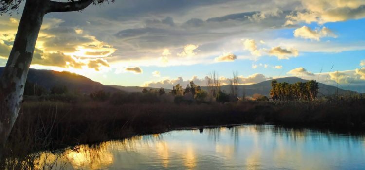 Fotos: Ullals de Baltasar al Delta de l’Ebre