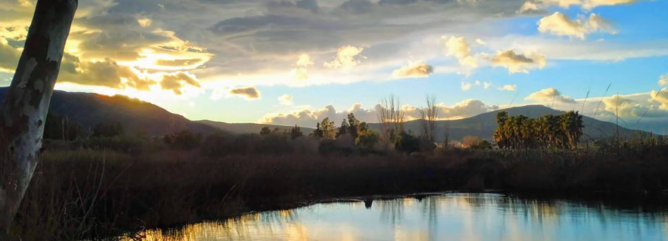 Fotos: Ullals de Baltasar al Delta de l’Ebre