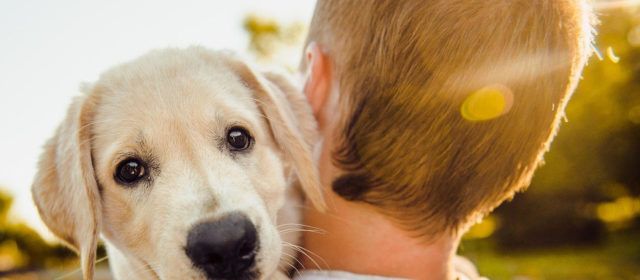 L’Ajuntament d’Alcanar crea la Regidoria de benestar animal