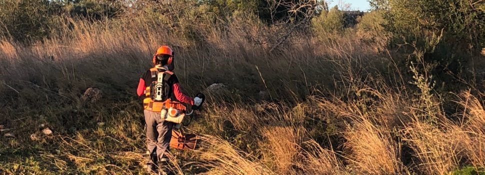 Neteja de camins i séquies de Benicarló