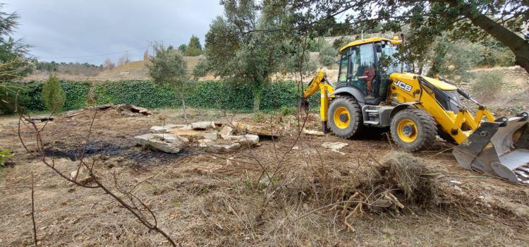Vilafranca millora el arboretum per a fer-ho més accessible als visitants