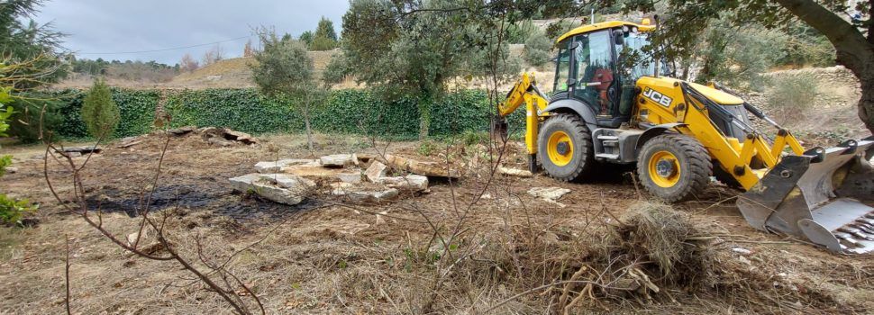 Vilafranca millora el arboretum per a fer-ho més accessible als visitants
