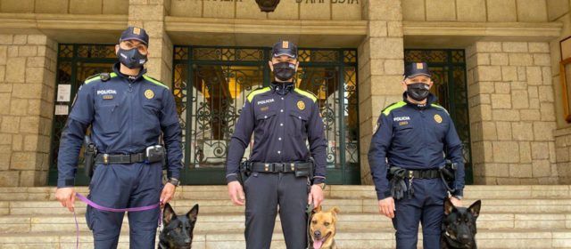 La unitat canina de la Policia Local d’Amposta, operativa de nou