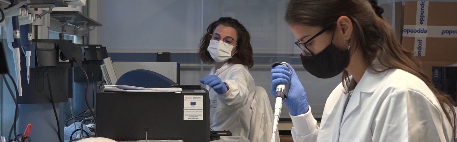 Fisabio y el IBV-CSIC monitorizan la transmisión, el movimiento y las variantes del coronavirus en España