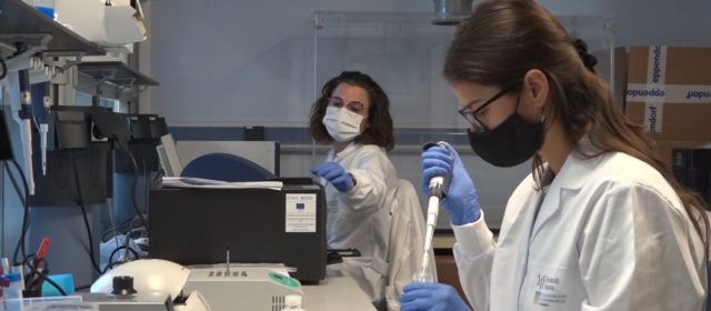 Fisabio y el IBV-CSIC monitorizan la transmisión, el movimiento y las variantes del coronavirus en España
