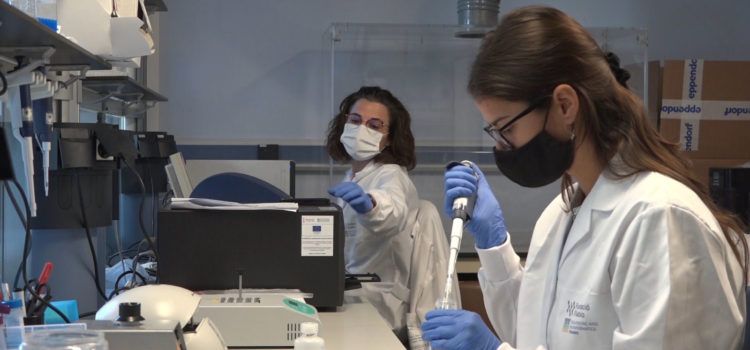 Fisabio y el IBV-CSIC monitorizan la transmisión, el movimiento y las variantes del coronavirus en España