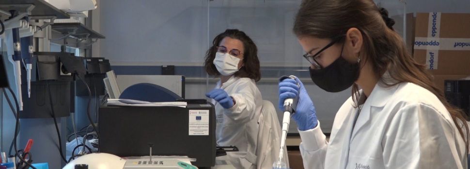 Fisabio y el IBV-CSIC monitorizan la transmisión, el movimiento y las variantes del coronavirus en España