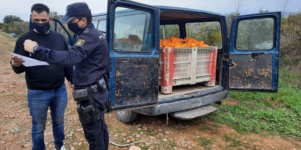 La Policía de la Generalitat detiene a 28 personas en 110 inspecciones durante la segunda campaña de prevención de robos y empleo ilegal en el campo