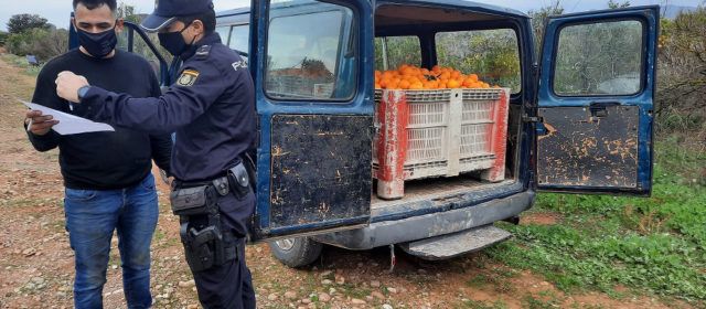 La Policía de la Generalitat detiene a 28 personas en 110 inspecciones durante la segunda campaña de prevención de robos y empleo ilegal en el campo