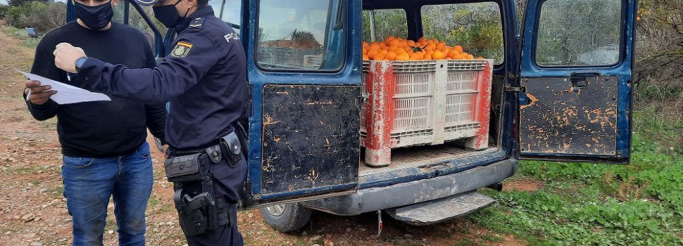 La Policía de la Generalitat detiene a 28 personas en 110 inspecciones durante la segunda campaña de prevención de robos y empleo ilegal en el campo