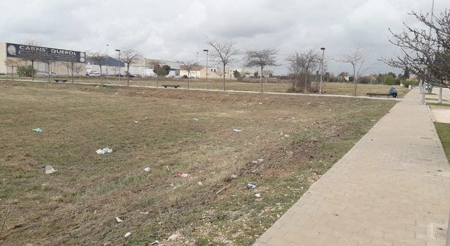 L’Ajuntament realitza tasques de manteniment de l’arbrat i zones enjardinades