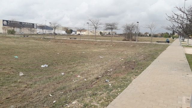 L’Ajuntament realitza tasques de manteniment de l’arbrat i zones enjardinades