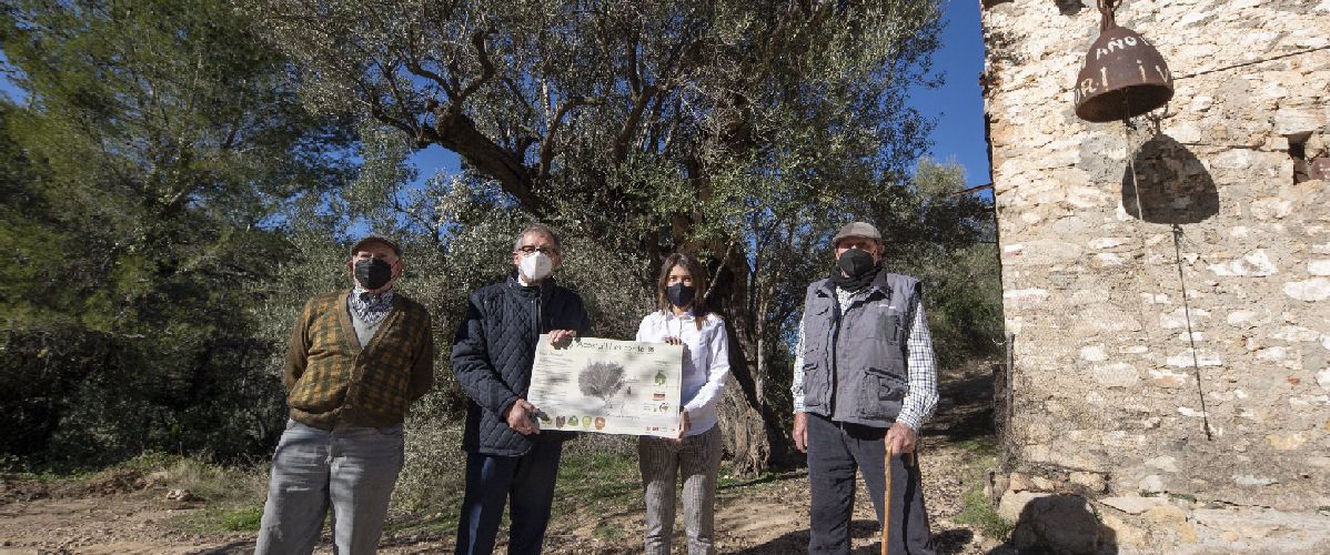La Diputació invertirà 380.000 euros en projectes de les entitats locals de la província que ajuden a posar en valor el medi natural