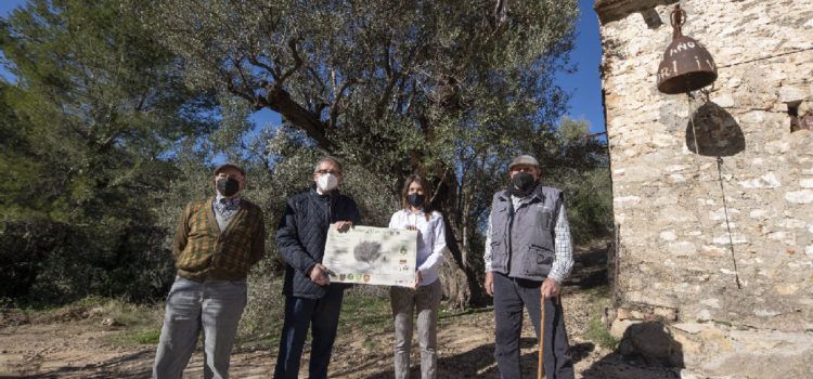 La Diputació invertirà 380.000 euros en projectes de les entitats locals de la província que ajuden a posar en valor el medi natural
