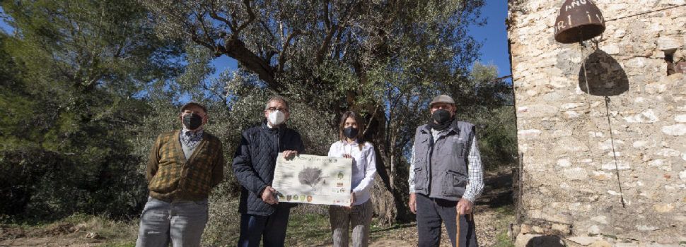 La Diputació invertirà 380.000 euros en projectes de les entitats locals de la província que ajuden a posar en valor el medi natural