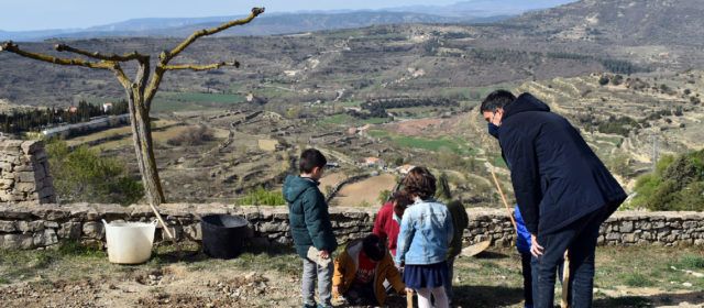 El col·legi de Morella celebra el dia de l’arbre