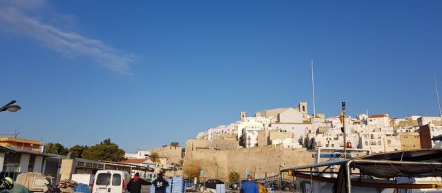 COINCOPESCA i la Direcció General de Pesca de la Generalitat Valenciana reclamen subvencions per a la nova reducció pesquera de la flota d’arrossegament