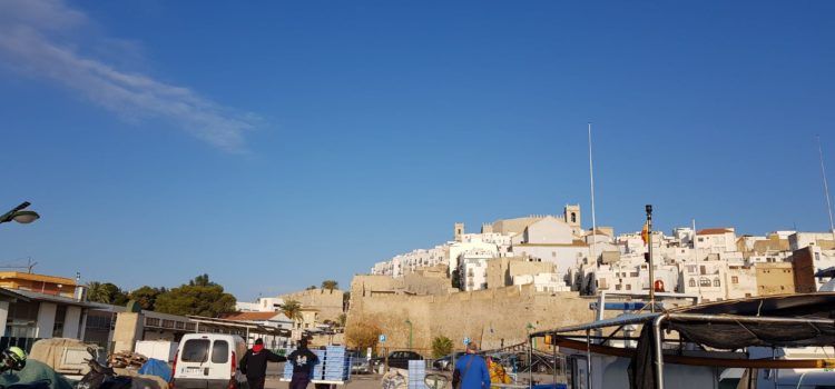 COINCOPESCA i la Direcció General de Pesca de la Generalitat Valenciana reclamen subvencions per a la nova reducció pesquera de la flota d’arrossegament