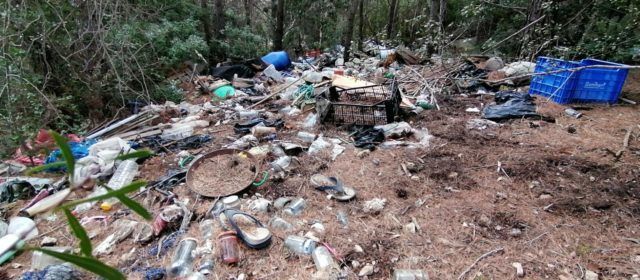 L’Ajuntament de Peníscola denuncia falta de recursos per a neteja i manteniment al Parc Natural de la Serra d’Irta
