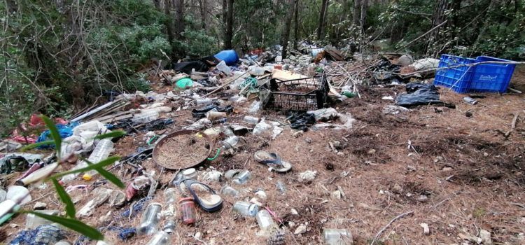 L’Ajuntament de Peníscola denuncia falta de recursos per a neteja i manteniment al Parc Natural de la Serra d’Irta
