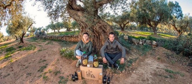 Martí Roca Ecològic, de Canet lo Roig, primer premio al mejor Aceite de Oliva Virgen Extra Ecológico de la Comunitat Valenciana