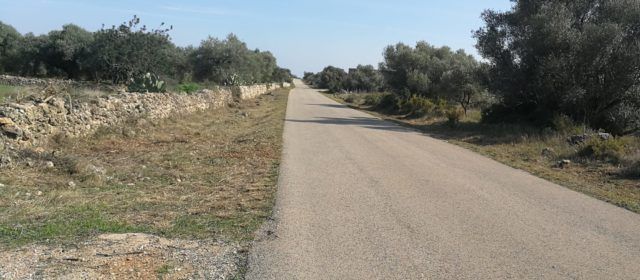 Rossell: en acció la brigada forestal EMERGE i Mayo arriba a les semifinals