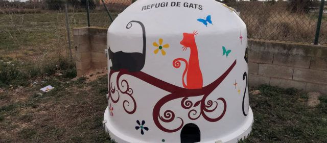 Alcanar ja té sis refugis per a gats ferals