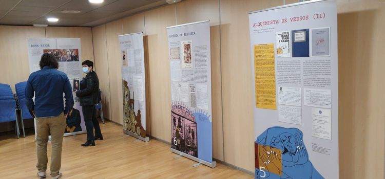 Fotos i vídeo: exposició Carmelina Sánchez-Cutillas “Des de les fronteres del Silenci”