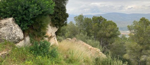 Diputació neteja i esbrossa el Castell de Santa Magdalena