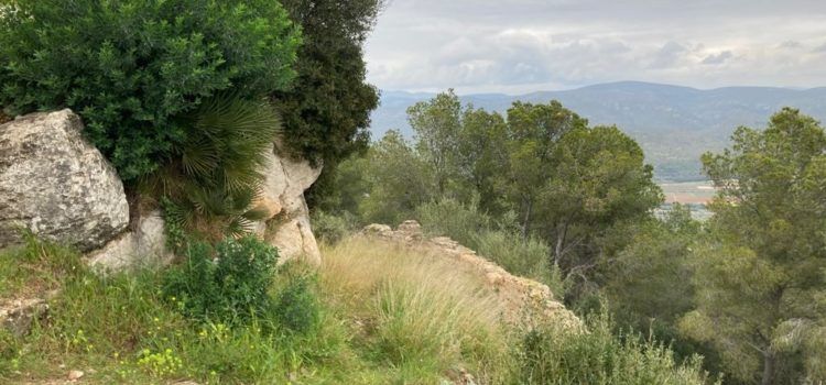 Diputació neteja i esbrossa el Castell de Santa Magdalena