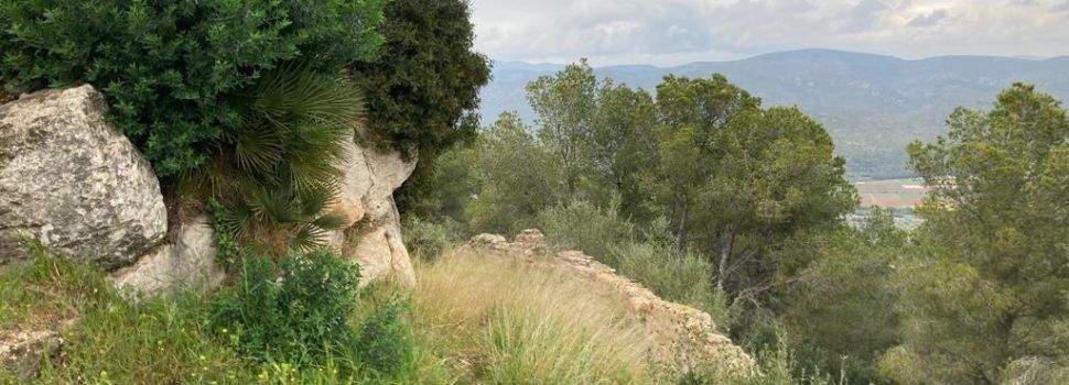 Diputació neteja i esbrossa el Castell de Santa Magdalena
