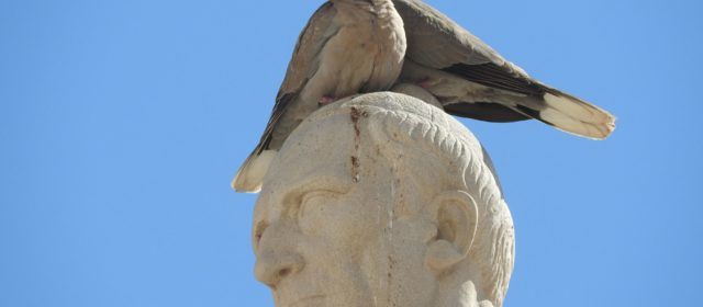 Fotos: L’estàtua de Costa i Borràs, “camp d’aterratge” per a tòrtores