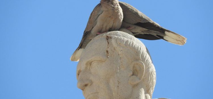 Fotos: L’estàtua de Costa i Borràs, “camp d’aterratge” per a tòrtores