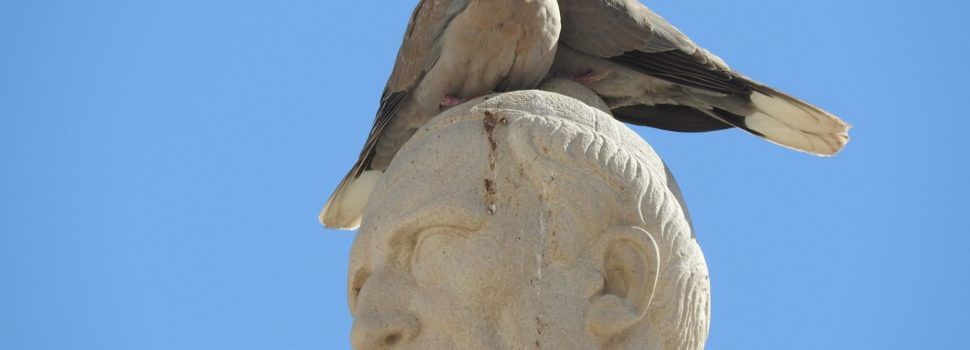 Fotos: L’estàtua de Costa i Borràs, “camp d’aterratge” per a tòrtores