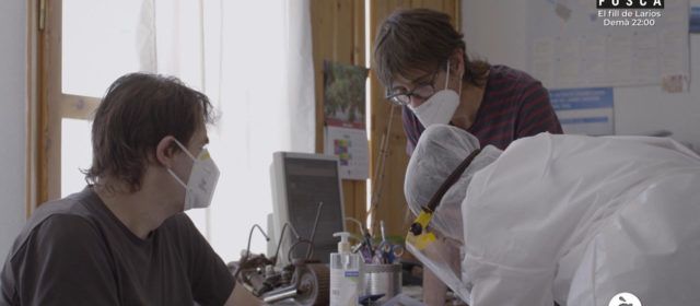 L’estudi serològic fet a Vallibona, en el capítol 4 de “Crònica mèdica” d’À Punt