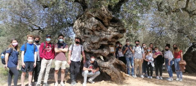 Estudiants americans descobreixen Canet lo Roig