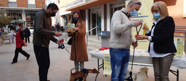 Benicarló treballa per a evitar els problemes causats per l’orina dels gossos