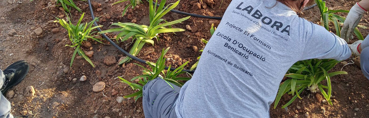 El taller Et Formem per a persones amb dificultats d’inserció laboral es prorroga un any