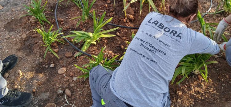 El taller Et Formem per a persones amb dificultats d’inserció laboral es prorroga un any