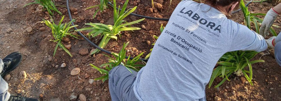 El taller Et Formem per a persones amb dificultats d’inserció laboral es prorroga un any