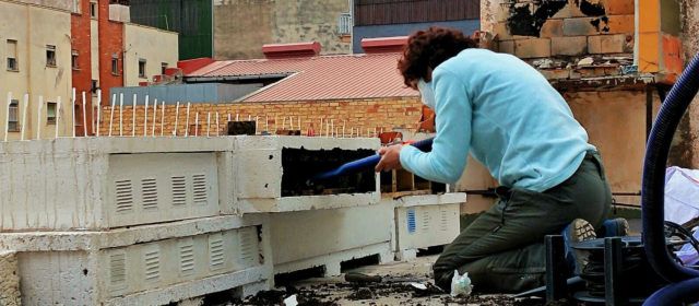 Benicarló amplia les caixes niu per a protegir les falcilles i lluitar contra els insectes
