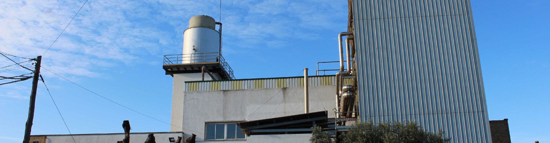 Olivite Export tanca l’acord de compravenda de la unitat de negoci d’oli d’oliva de Juan Ballester Rosés