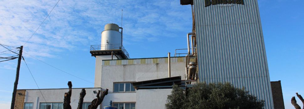 Olivite Export tanca l’acord de compravenda de la unitat de negoci d’oli d’oliva de Juan Ballester Rosés