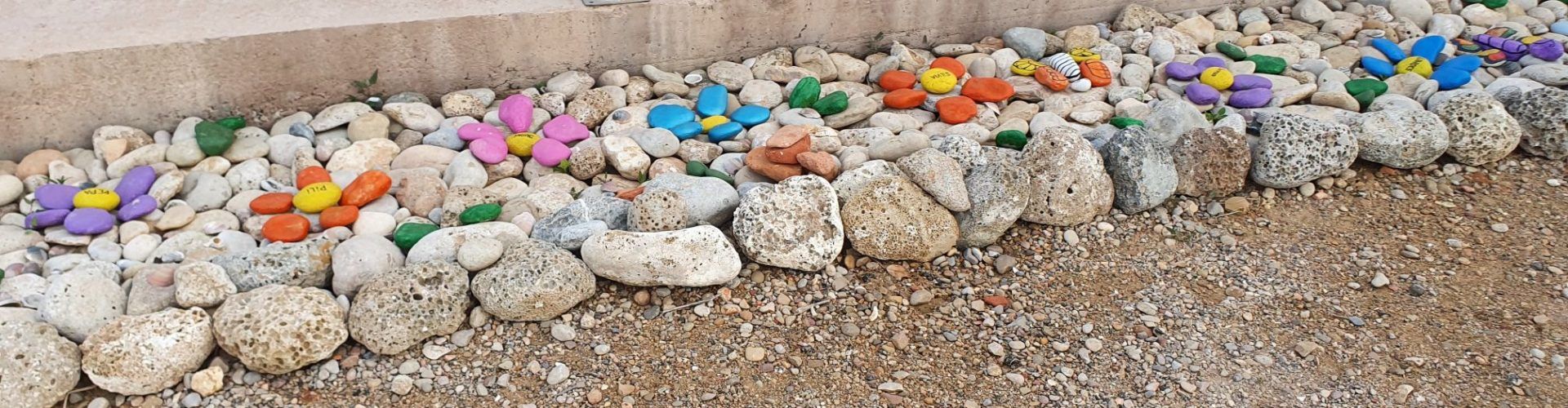 Fotos: Un altre “jardinet” a la vora de la mar a Vinaròs