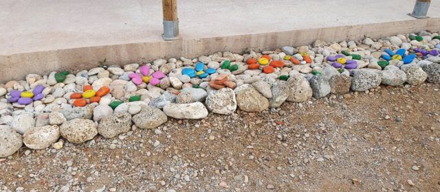 Fotos: Un altre “jardinet” a la vora de la mar a Vinaròs