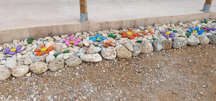 Fotos: Un altre “jardinet” a la vora de la mar a Vinaròs